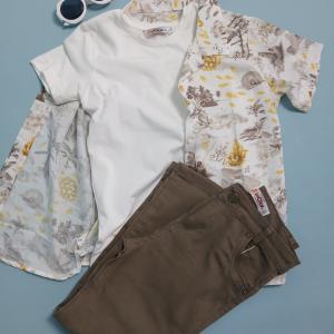 SET SHIRTS AND T-SHIRTS AND PANTS