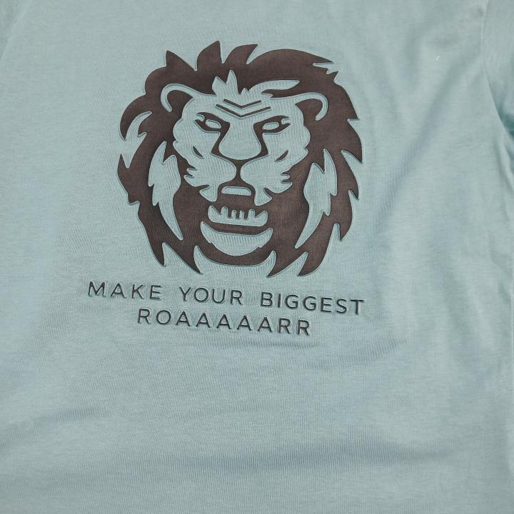 SET T-SHIRTS AND SHORTS