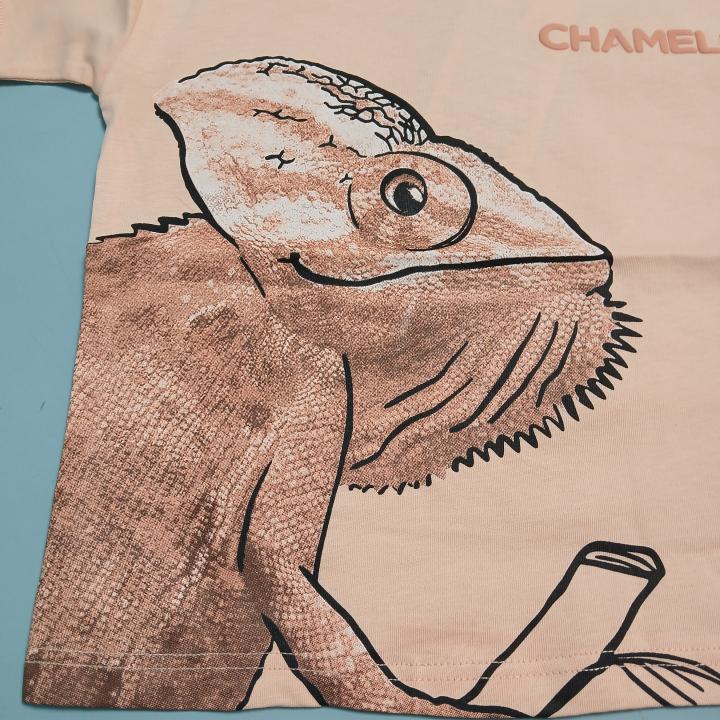 SET T-SHIRT AND SHORTS