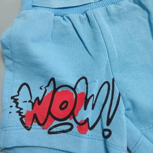 SET T-SHIRTS AND SHORTS