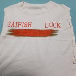 SET  CHEMISE ,T-SHIRTS AND SHORTS